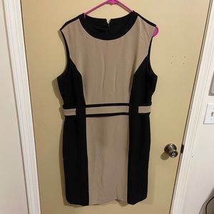 Professional Black and Tan dress